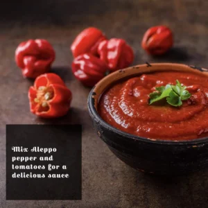 Aleppo pepper sauce