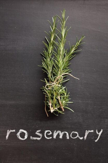 Dried Rosemary - Image 4