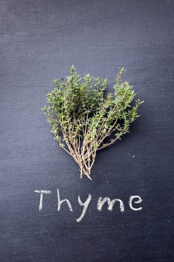 Dried Thyme - Image 5